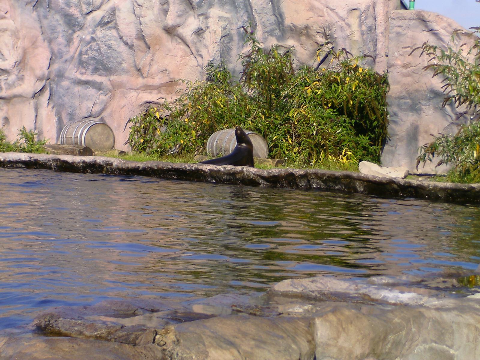 Zoom 18.10.08-059.jpg